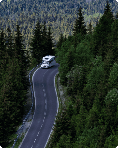 Nature Image